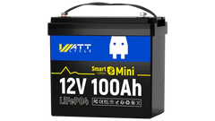 12V 100Ah Mini